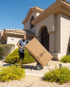 Professional Packing Services