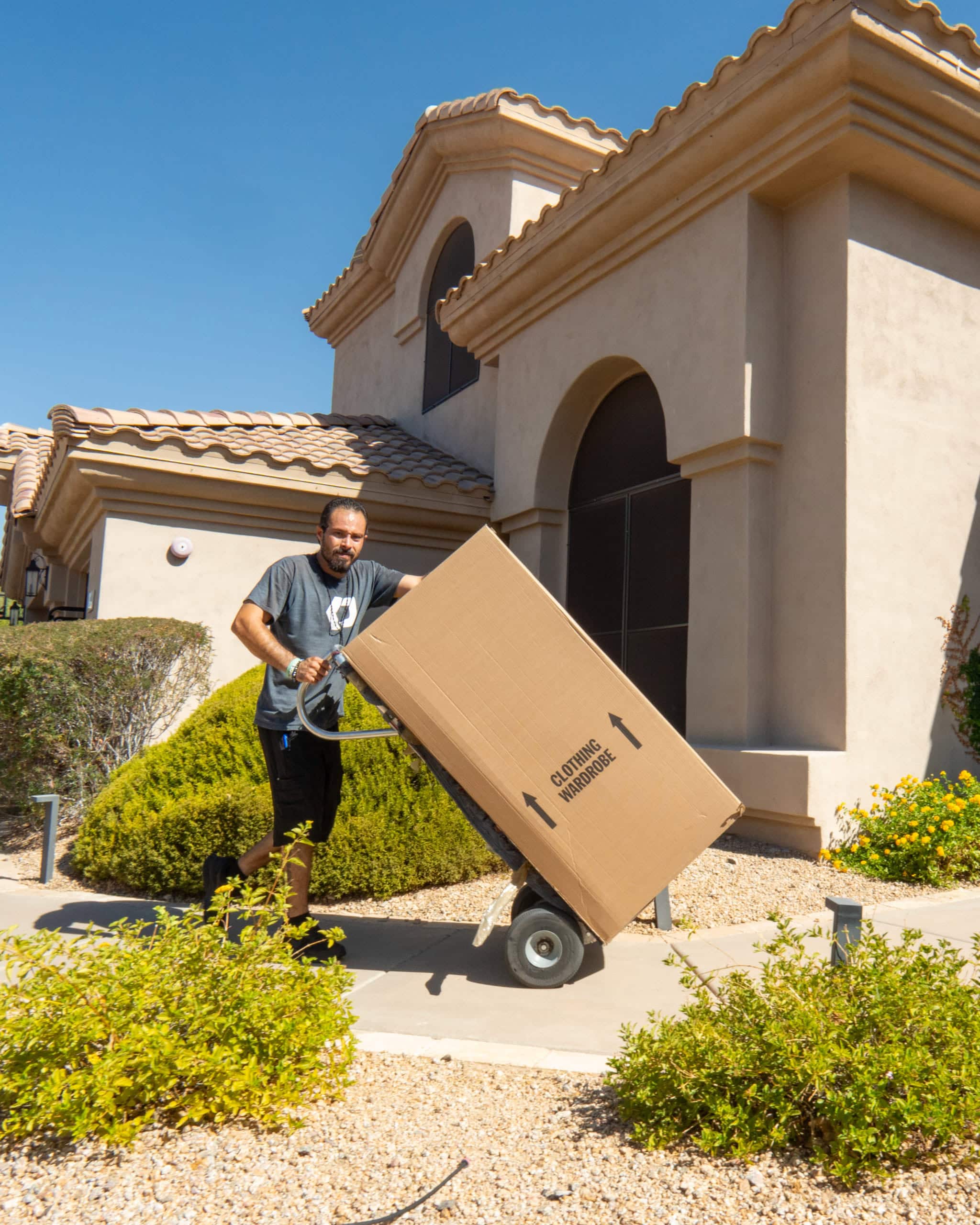 Professional Packing Services